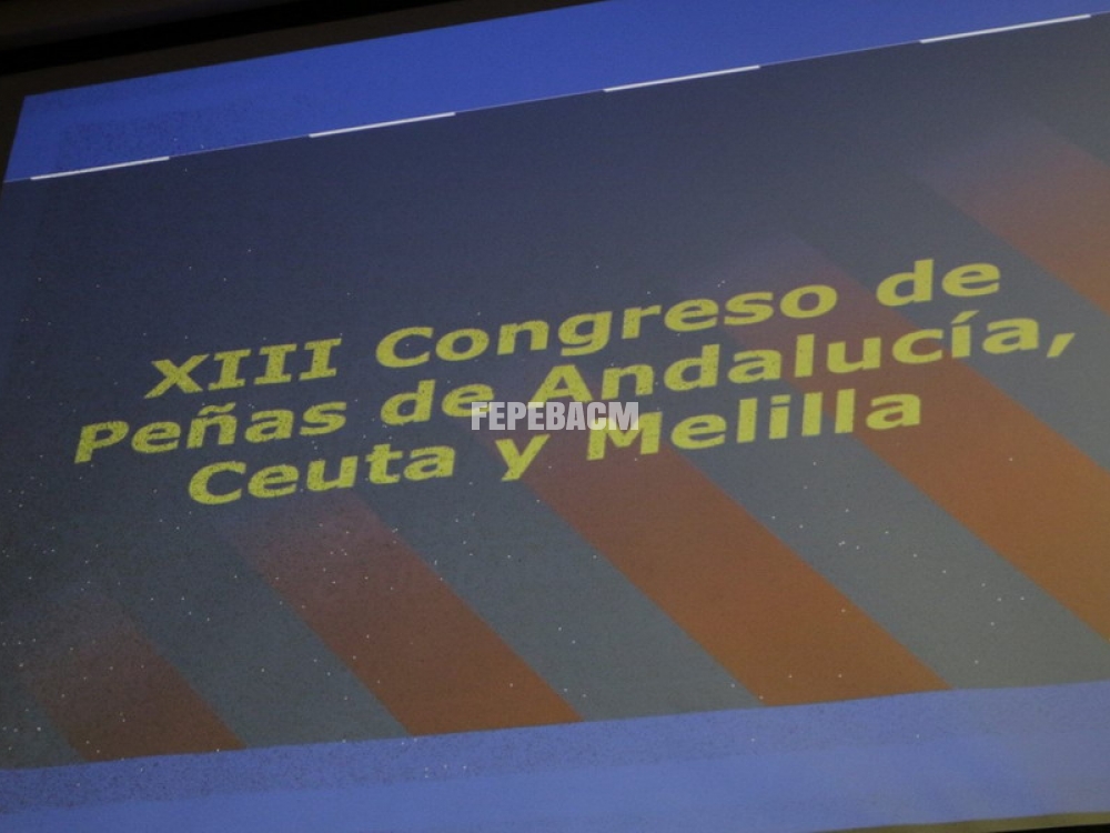 XIII Congreso Peñas Barcelonistas FEPEBACM - P.B. 'Mi Nerva'